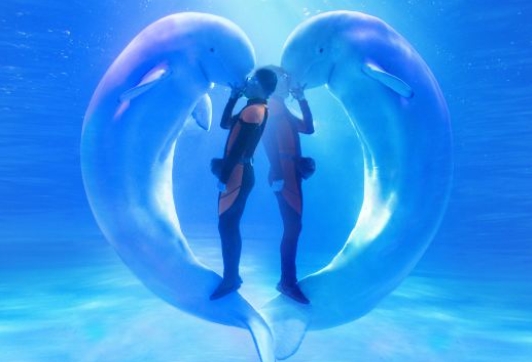 微信截图_20240124112528