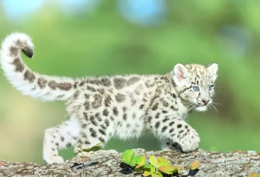 微信截图_20240124114113