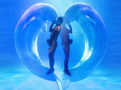 青岛极地海洋公园