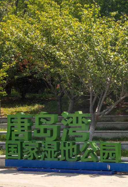 ScreenShot_2025-10-13_143417_335