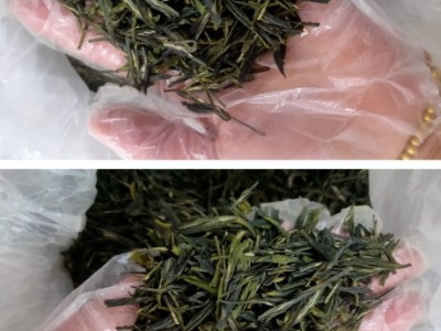 青岛海青茶:高山茶的独特风味