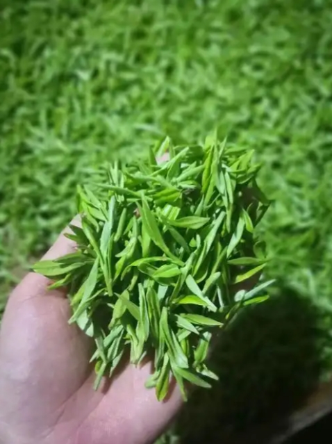 360截图20260106104601