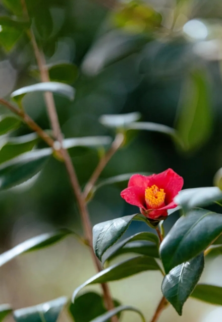 360截图20260106104957