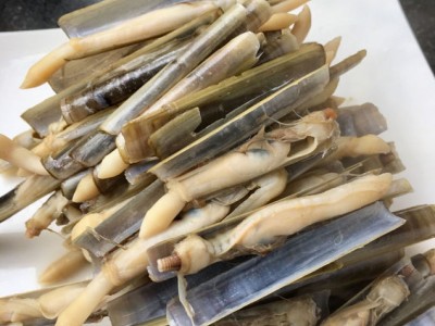 原汁竹蛏,原汁原味的海鲜,吃着更健